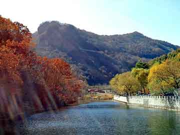 新澳门期期准精准，平陆野猪